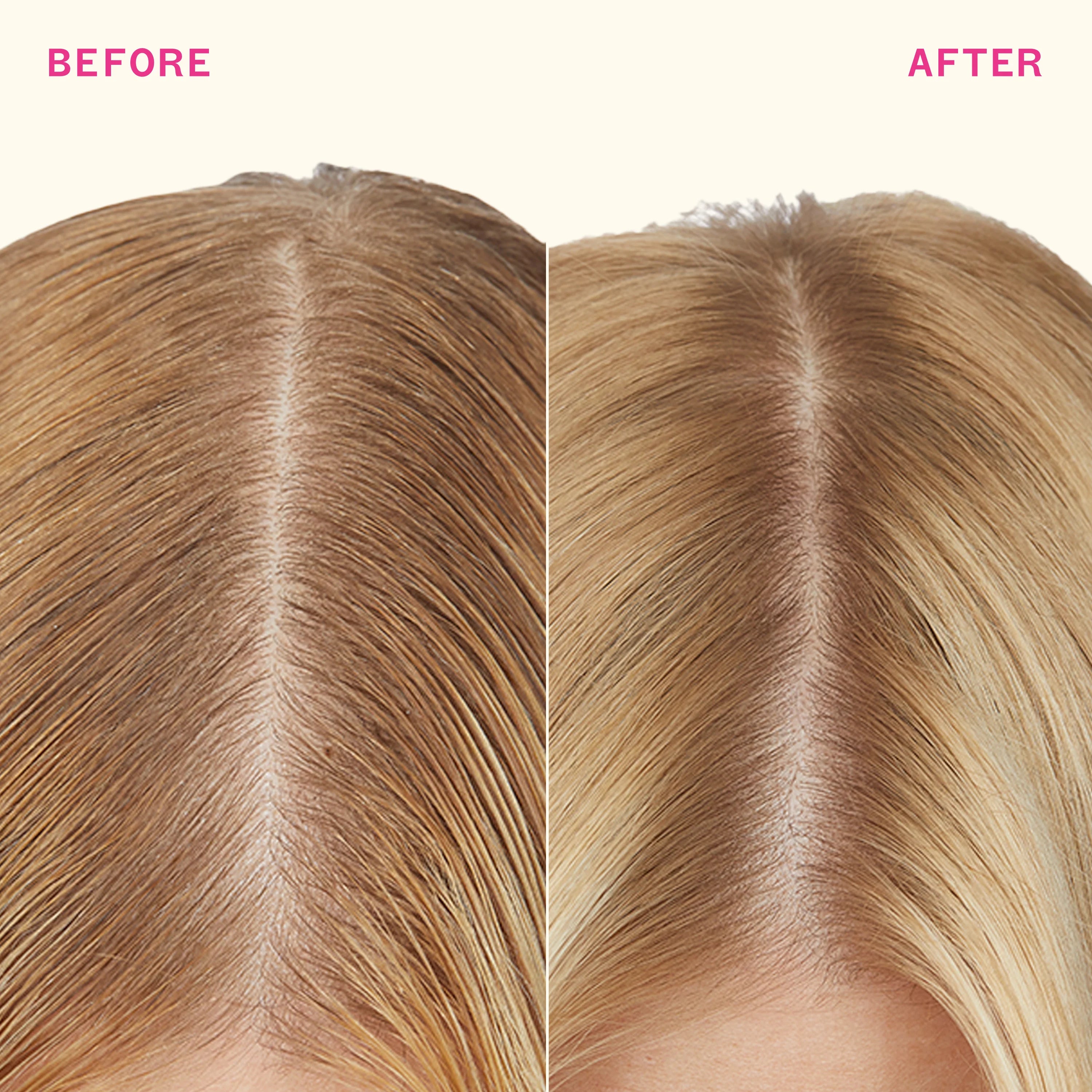 Signature - Shampoing sec Perk up Plus