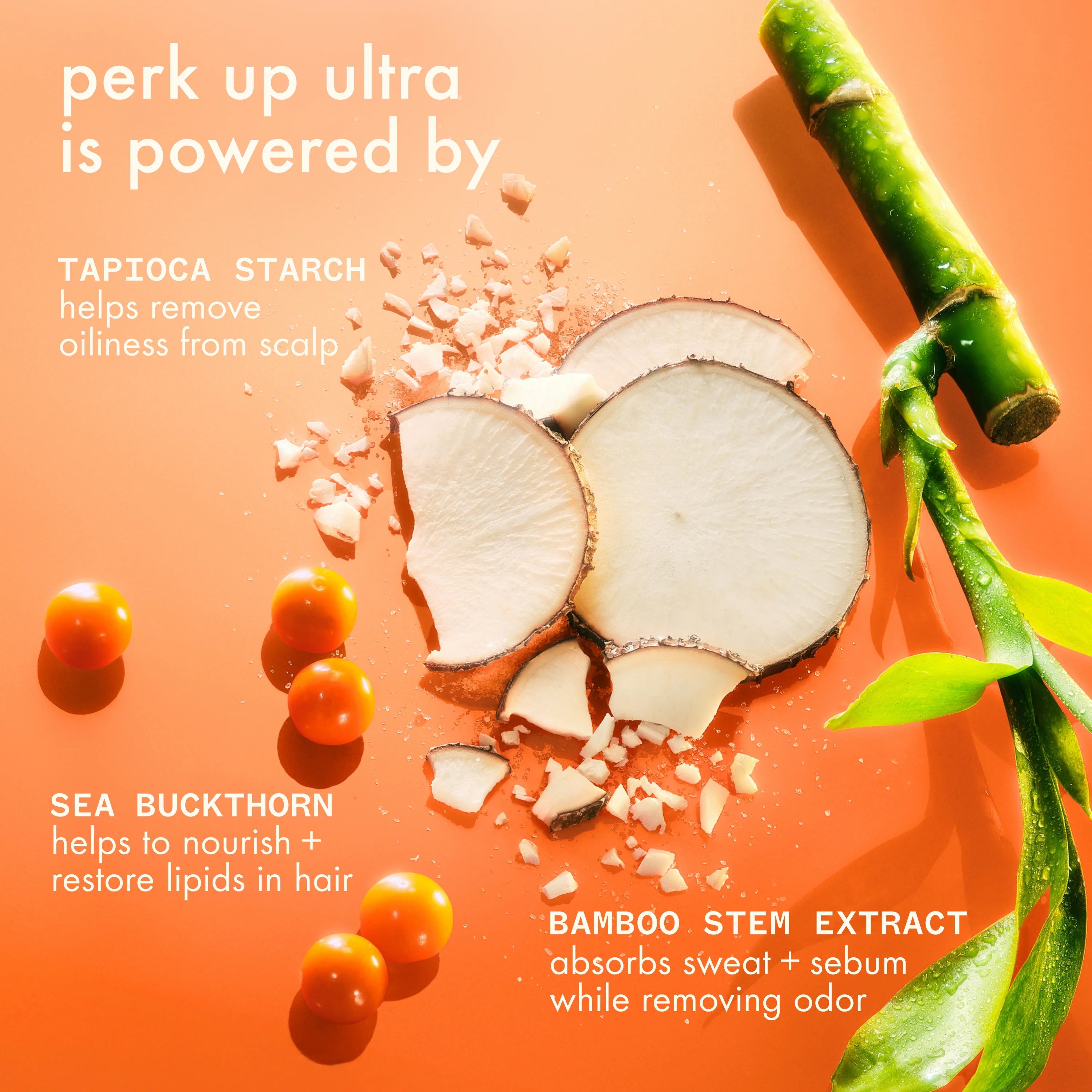 Signature - Shampoing sec Perk up Ultra
