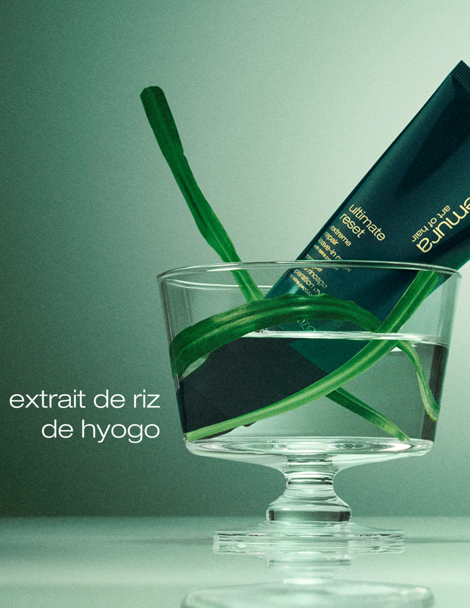 Extreme Repair Leave-in Mask - Ultimate reset