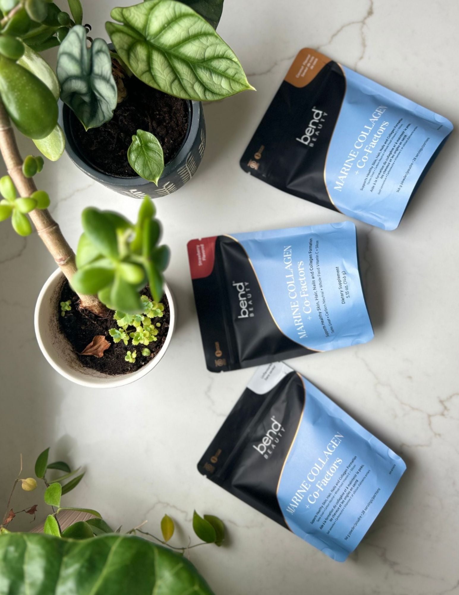 Marine Collagen + Cofacteurs