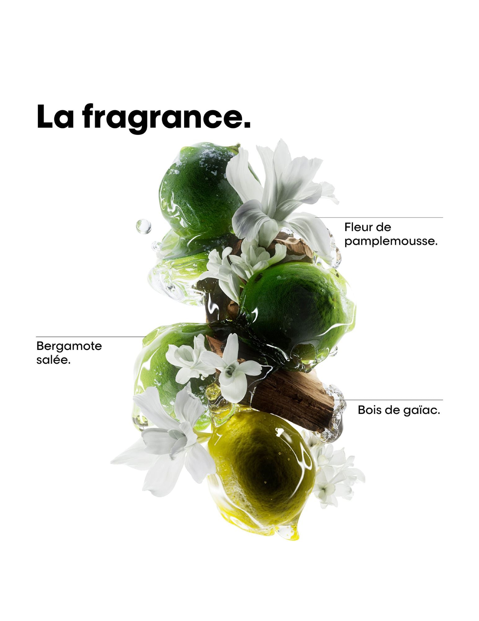 Shampoing crème nettoyant - Recharge 500ml - Metal Detox