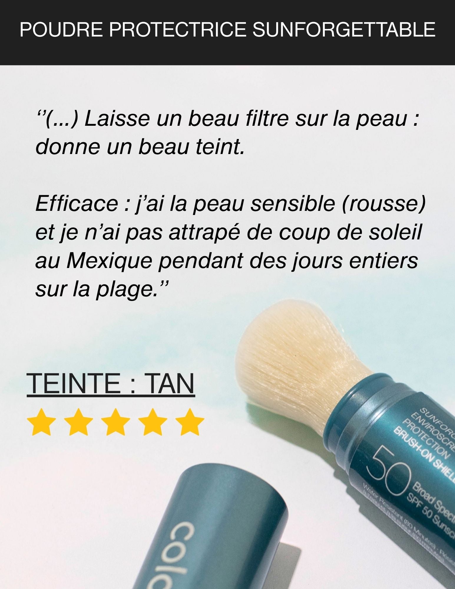 Sunforgettable Total Protection Brush-On Shield SPF 50