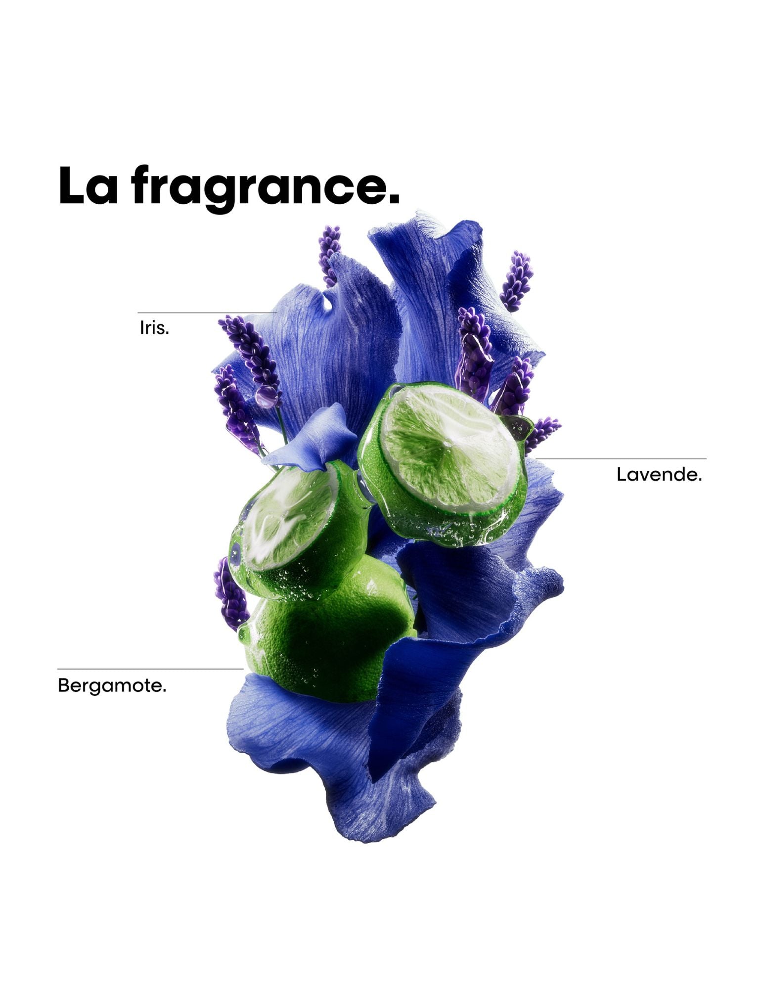 Shampoing Dermo-régulateur Anti-Inconfort - Recharge 500ml - Scalp Advanced