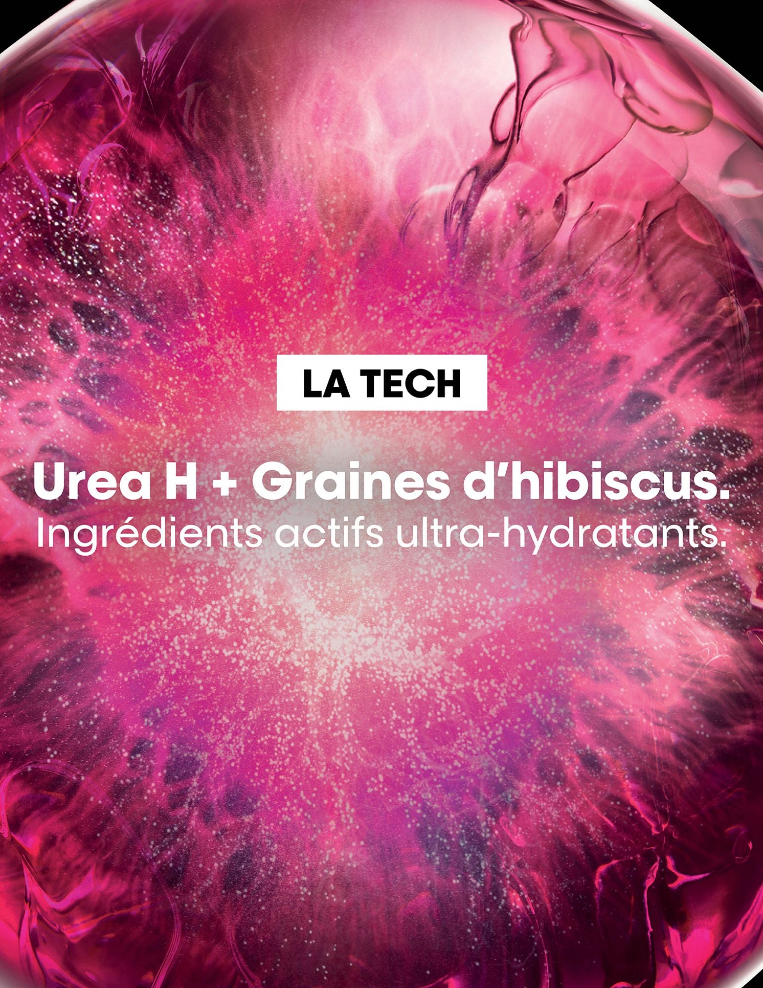 Holiday Box - Curl Expression