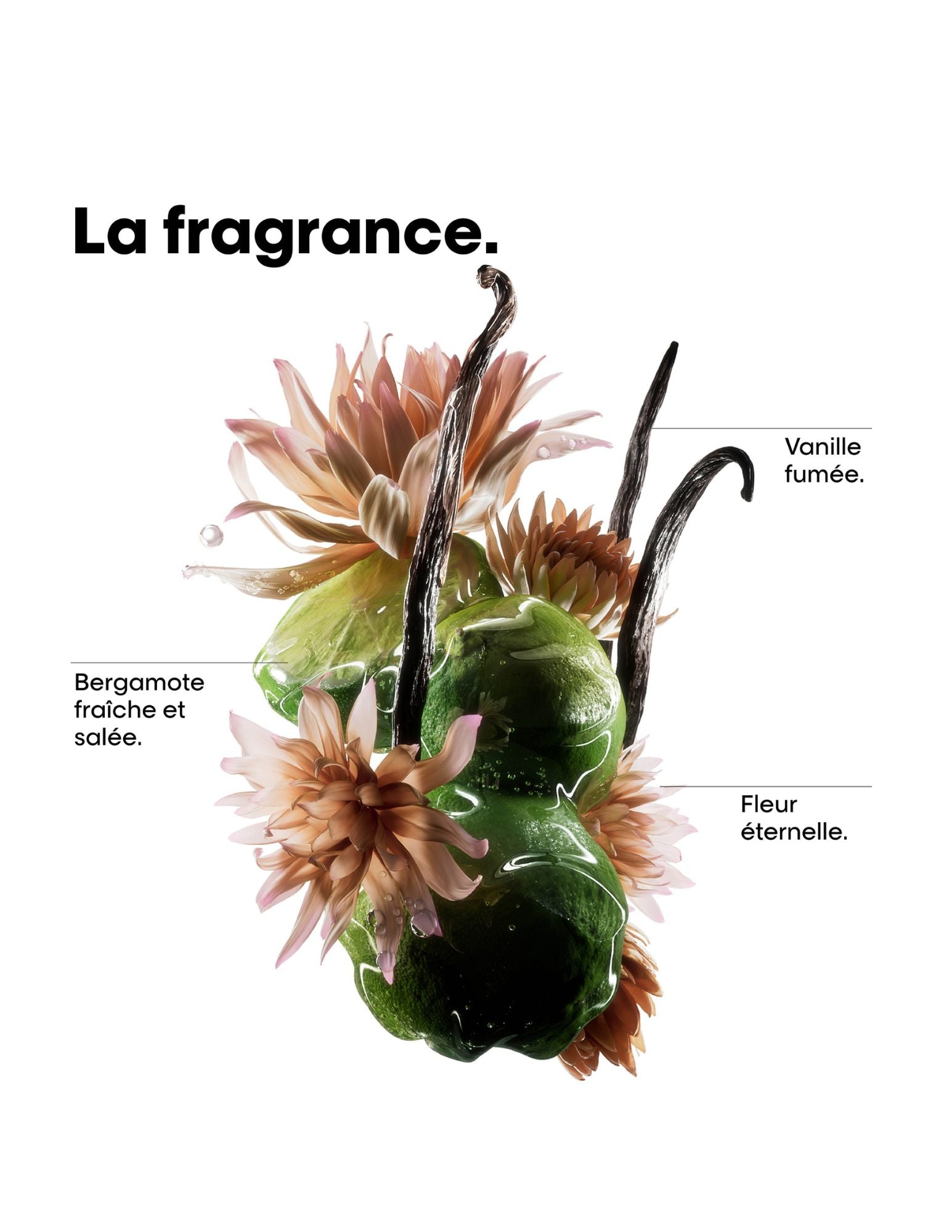 Coffret des fêtes - Absolut Repair Molecular