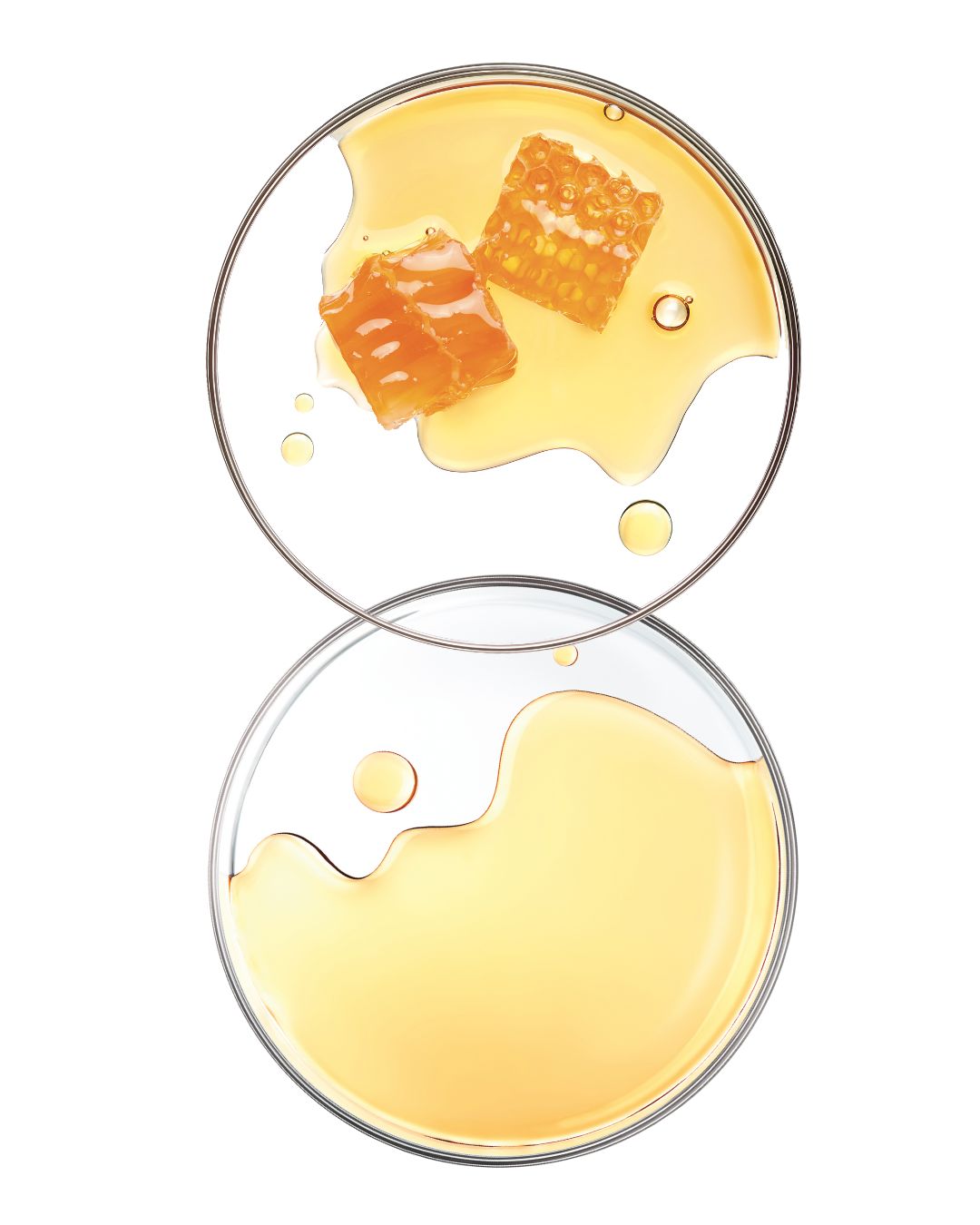 Huile à lèvres nourrissante - Source Nutrition