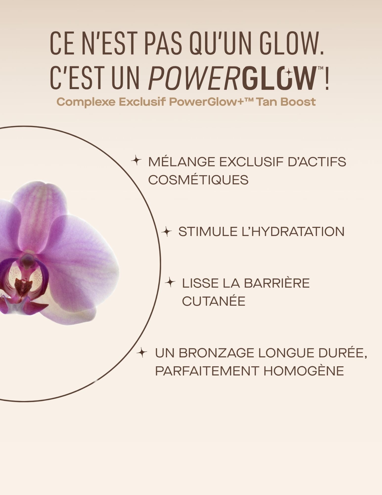 Coffret cadeau Nuda - Éclat pour les fêtes
