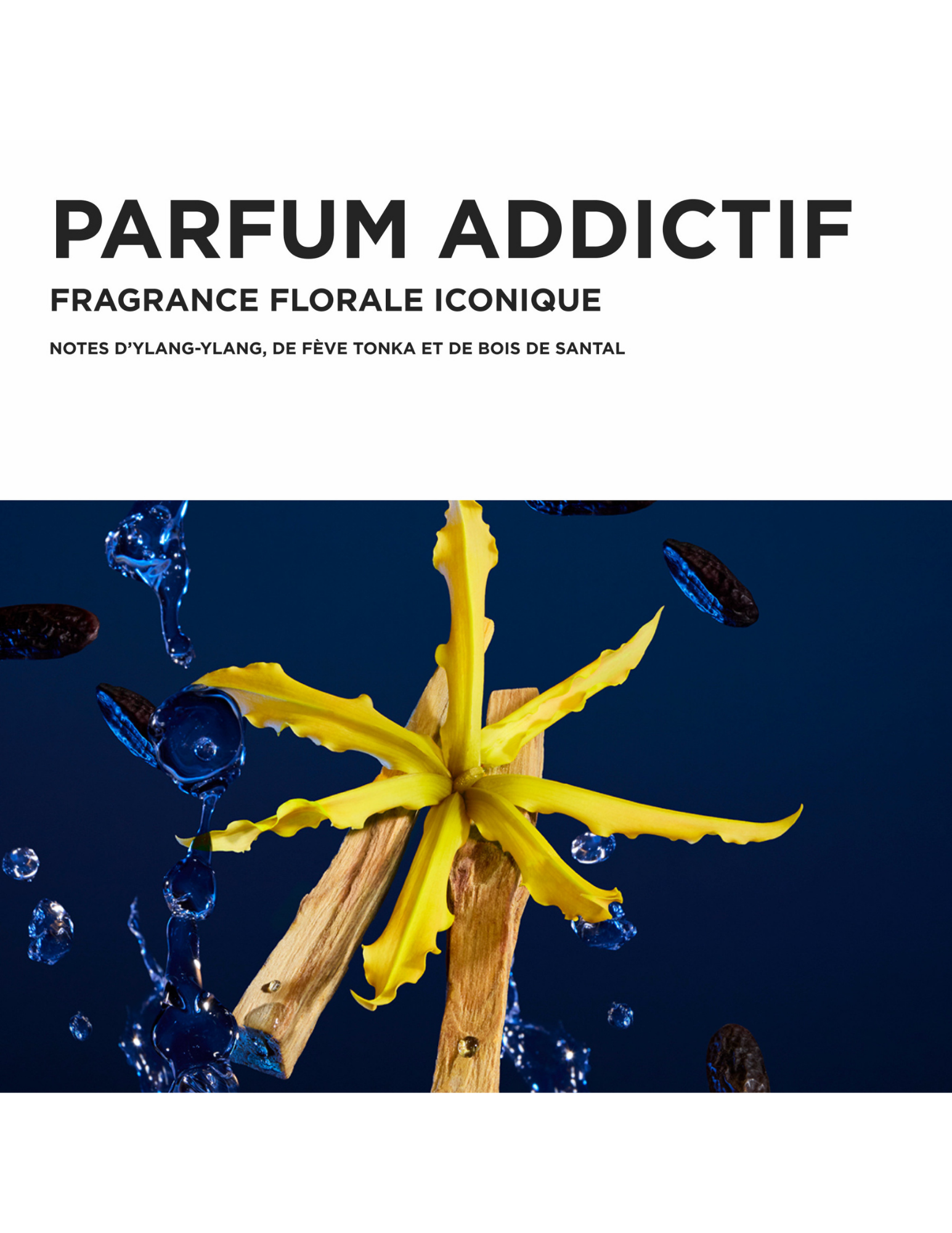 Coffret des fêtes Kérastase - Nutritive