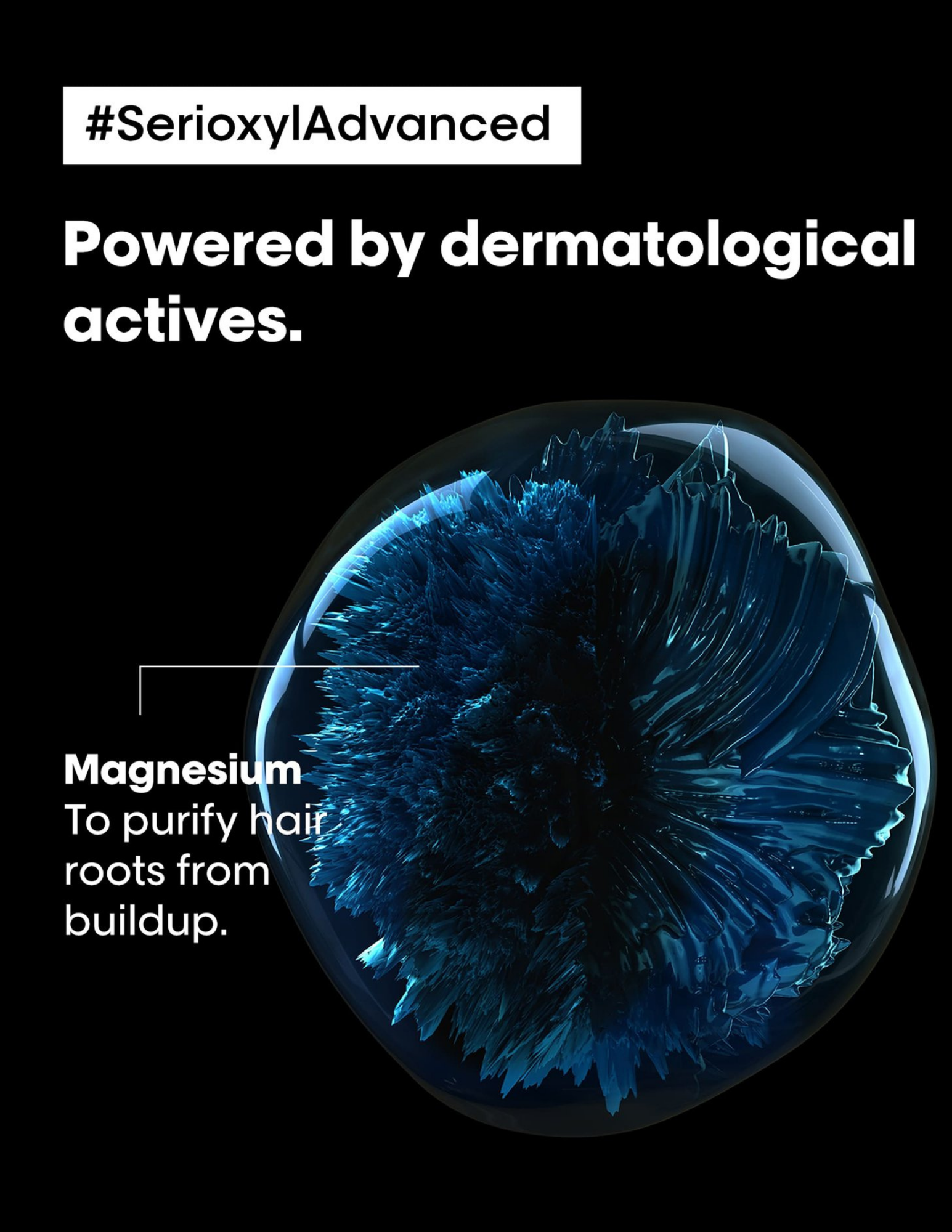 Holiday Box - Serioxyl Advanced