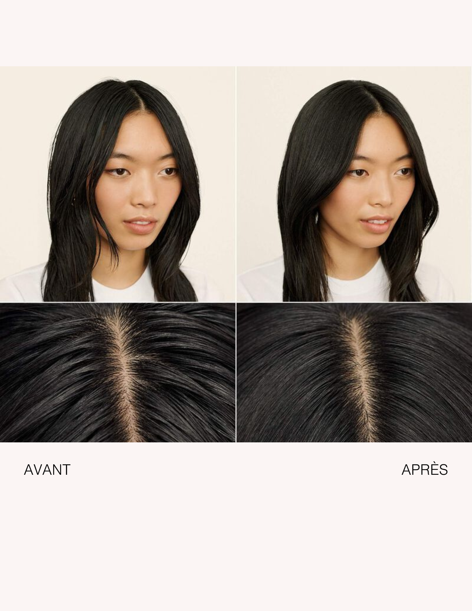 Living Proof Box - PHD Dry Shampoos