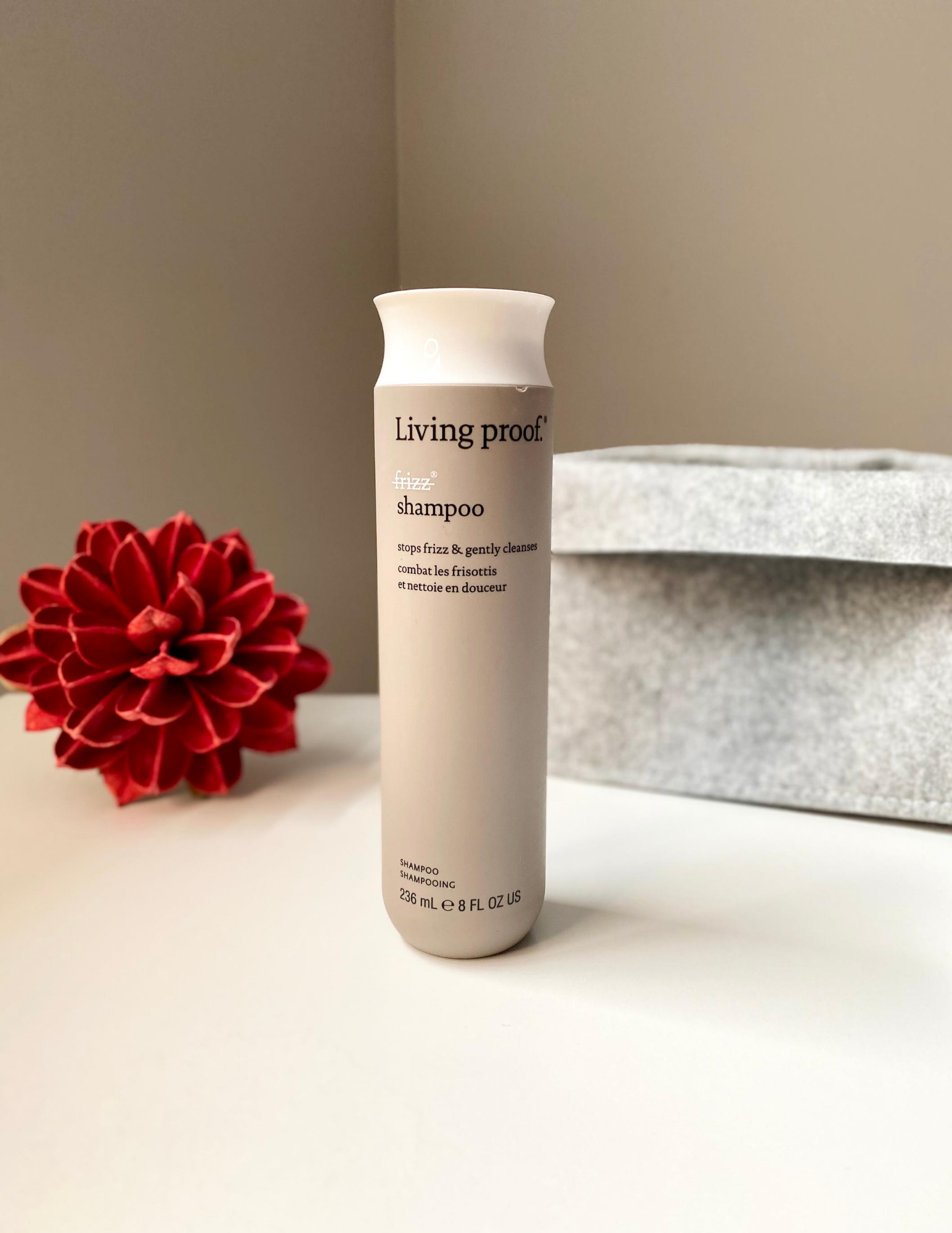 No Frizz - Shampoing