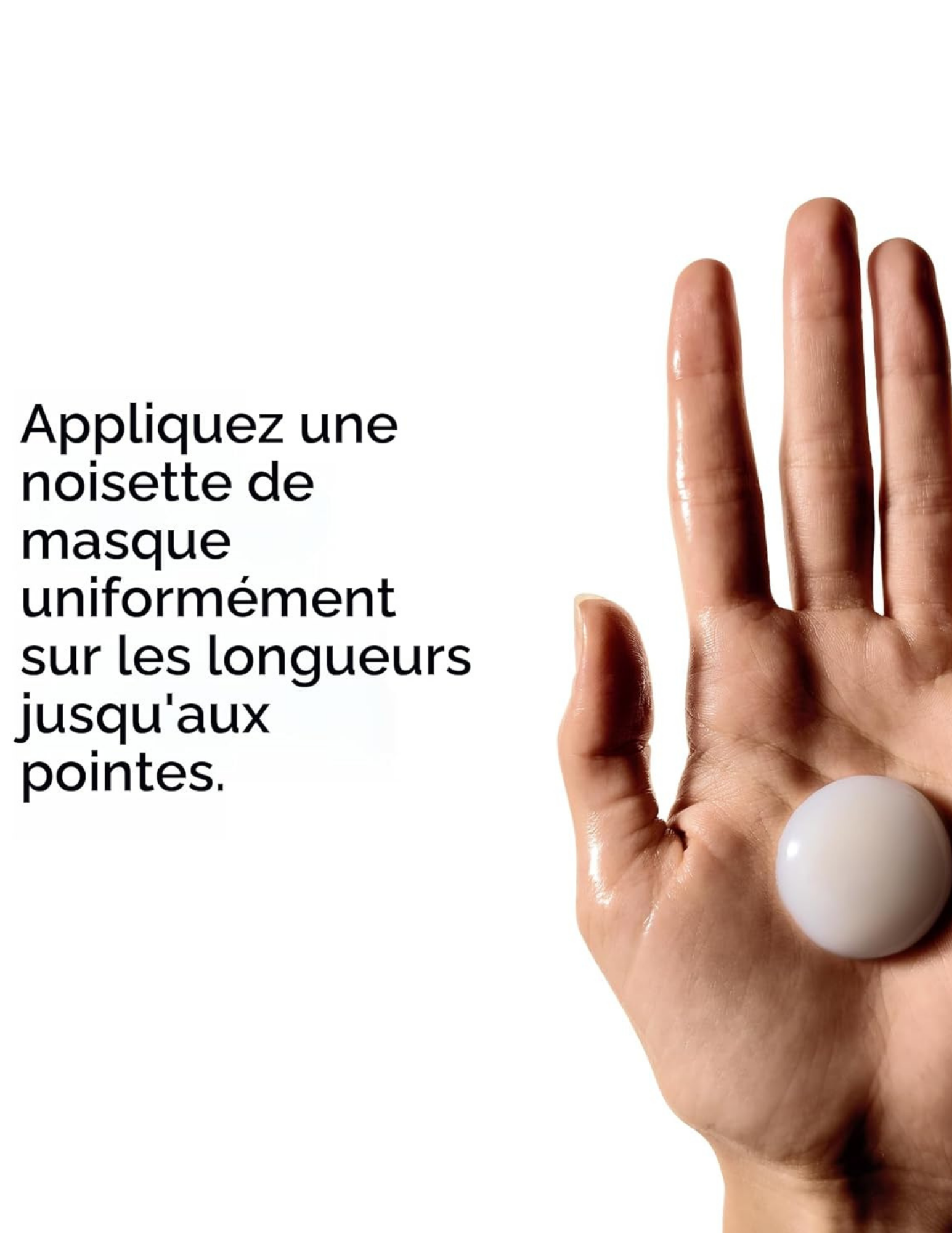 Holiday Box - Absolut Repair Molecular