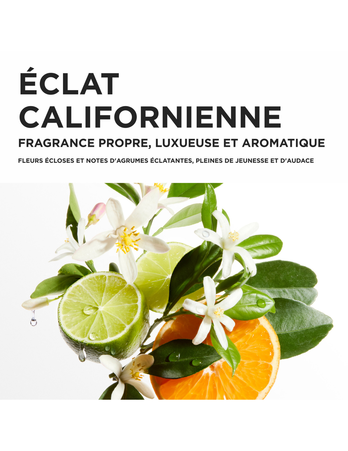 Kérastase - Blond Absolu Holiday Set