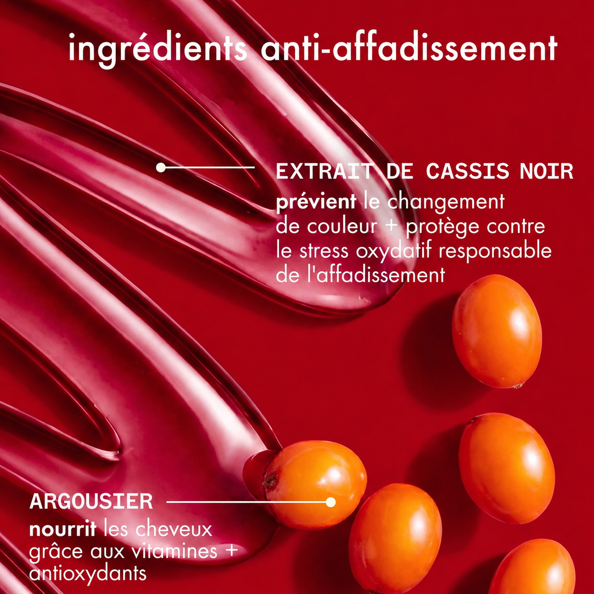 Color reinforcement + protection - The Protector Treatment