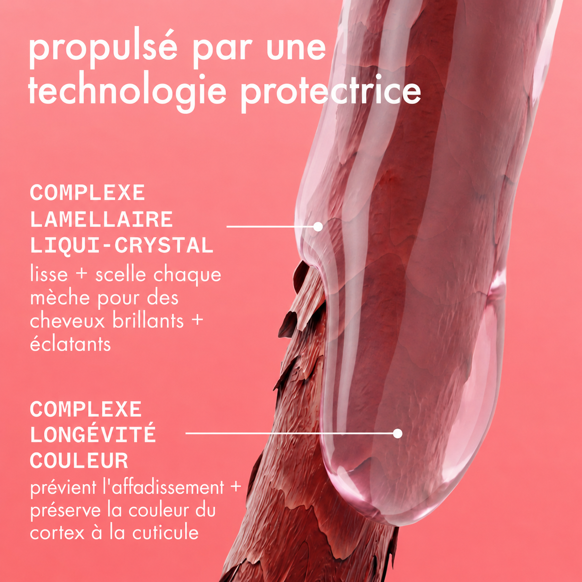 Color reinforcement + protection - The Protector Treatment