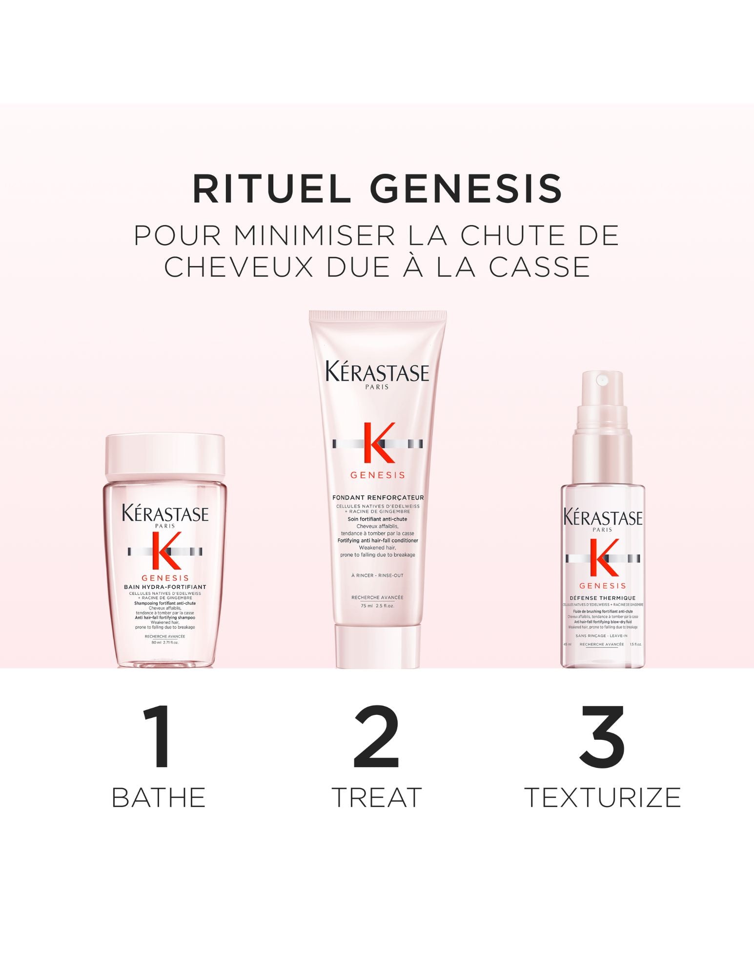 Coffret Découverte - Genesis