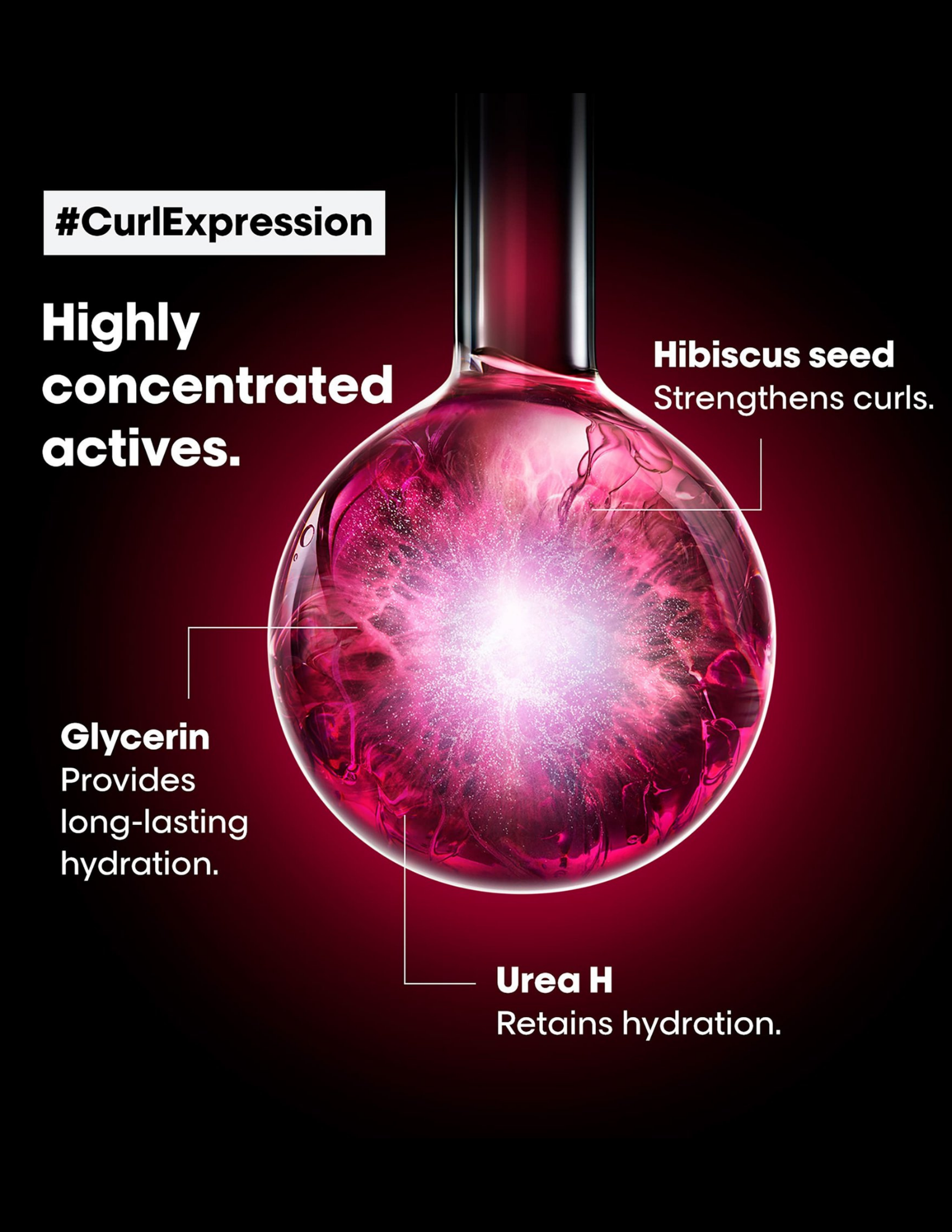 Holiday Box - Curl Expression