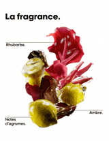 Routine éclat de couleur et brillance - Vitamino Color Spectrum