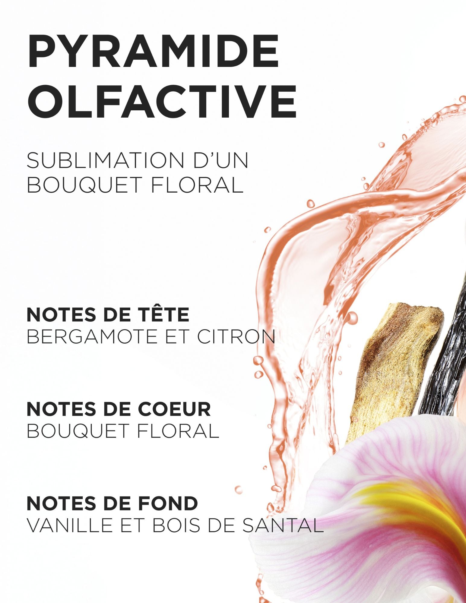 Duo parfums pour cheveux - Gloss Absolu