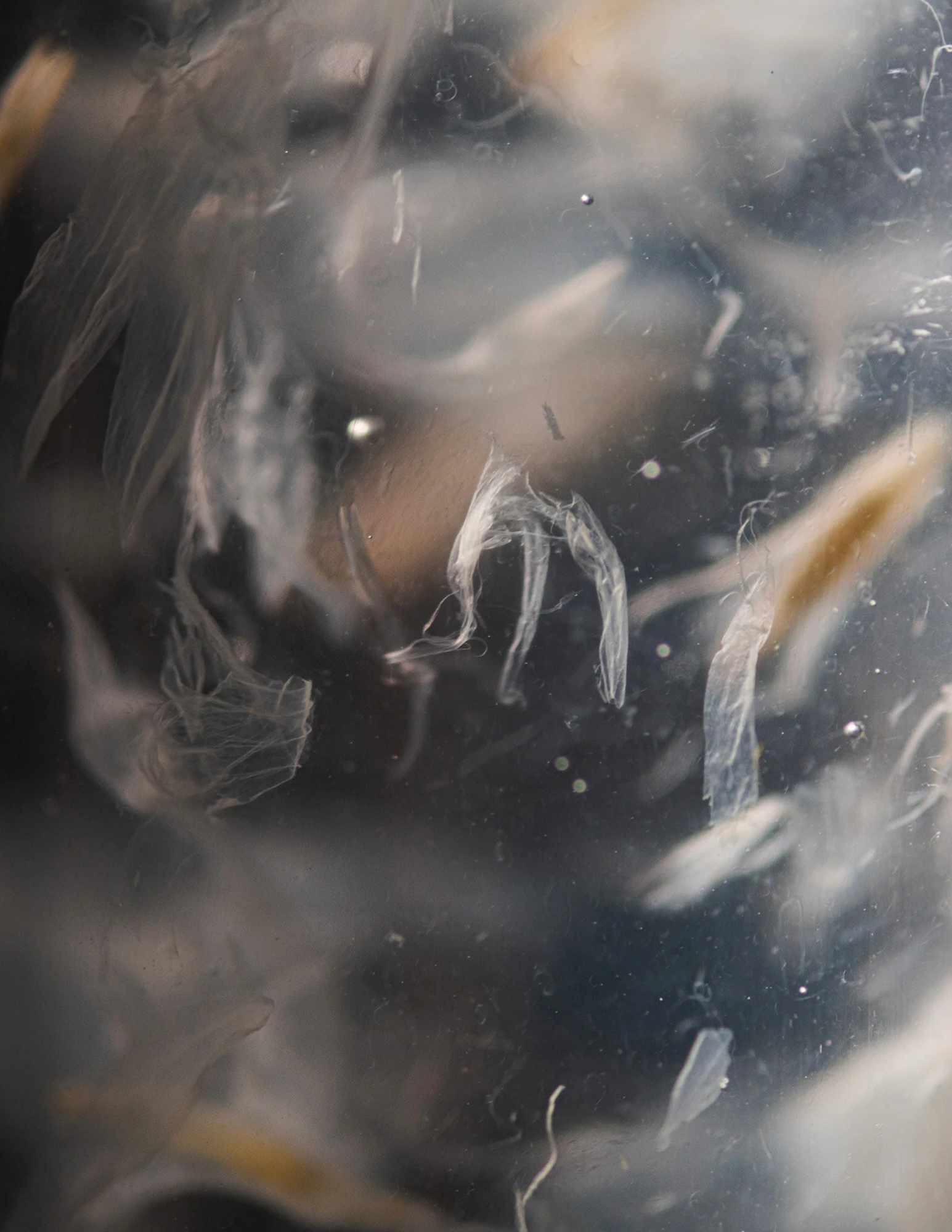 Infusion hydratante repulpante - Source