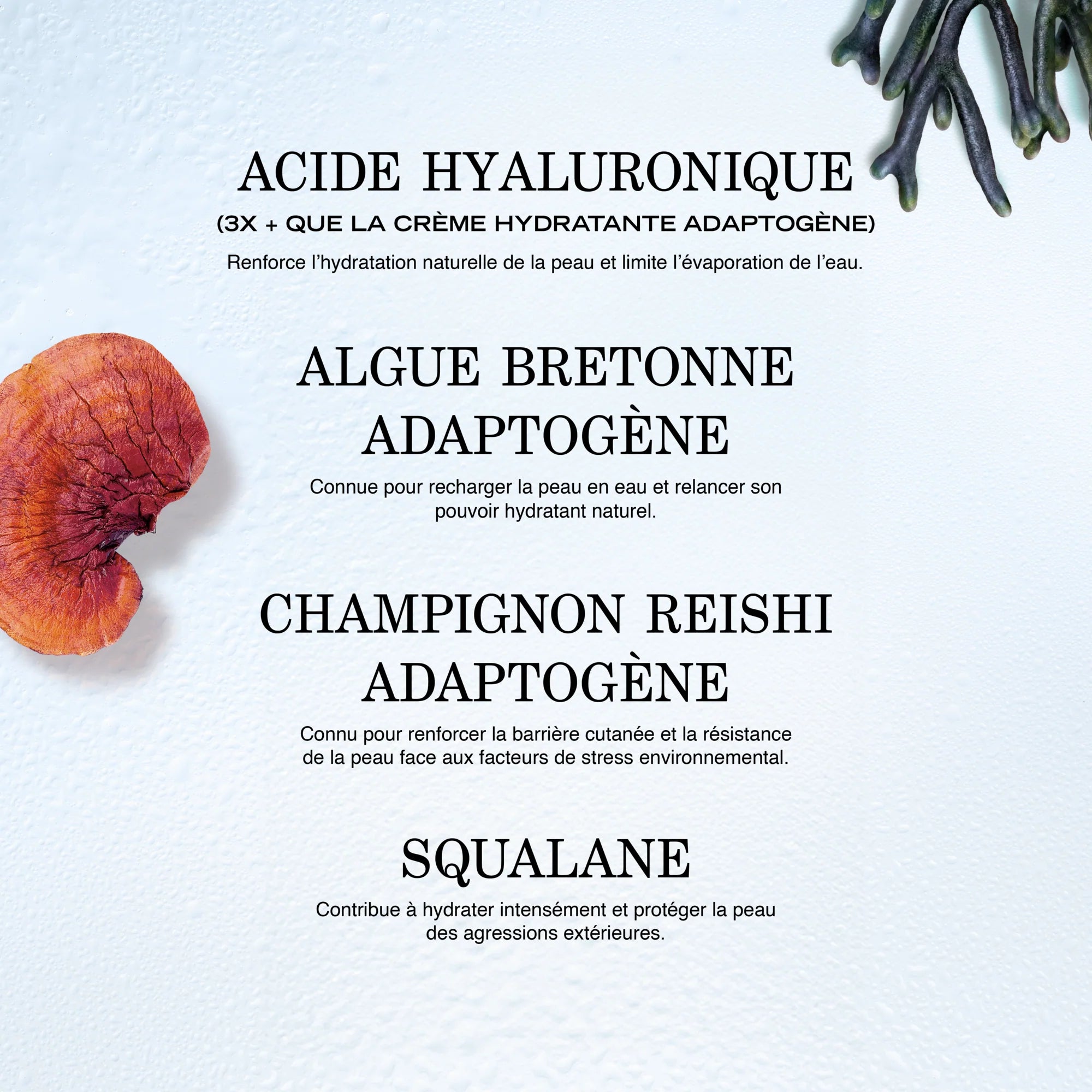 Source - Baume à lèvres hydratant repulpant Hydra+