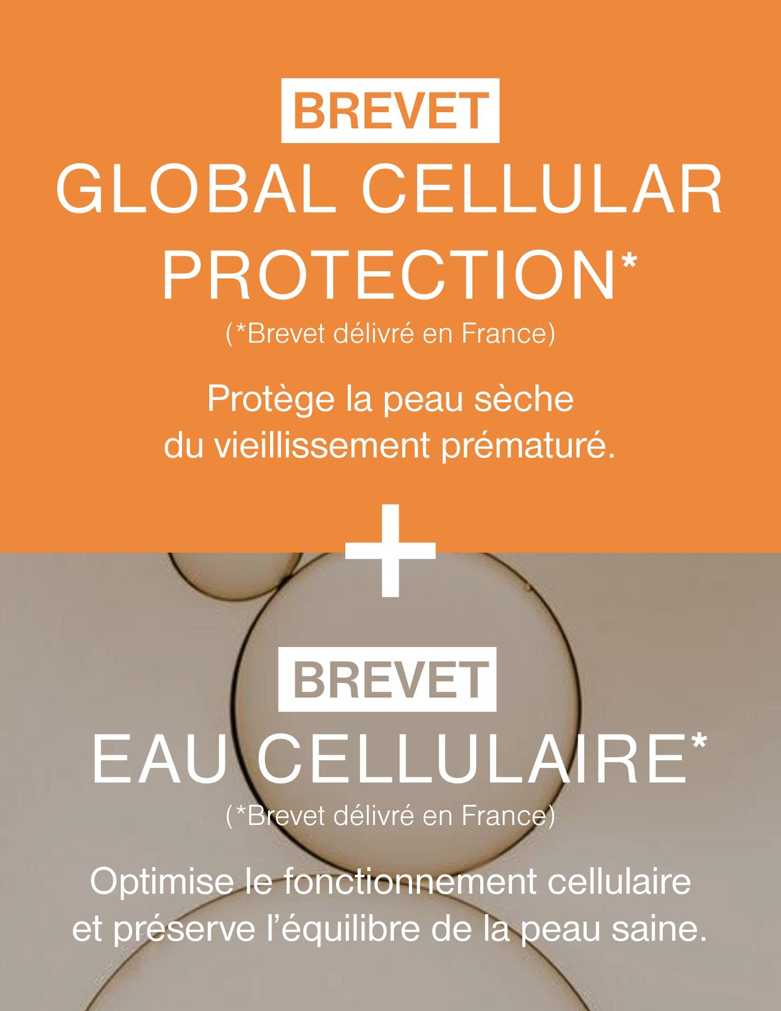 Crème - Photo Regul